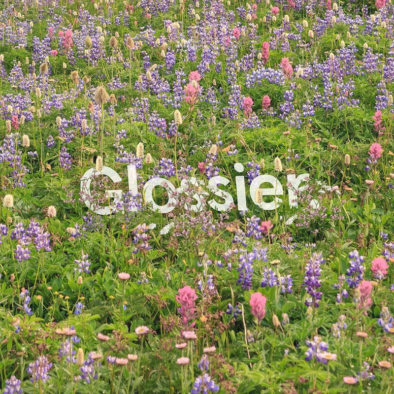 Glossier campaign wordmark within a field of flowers