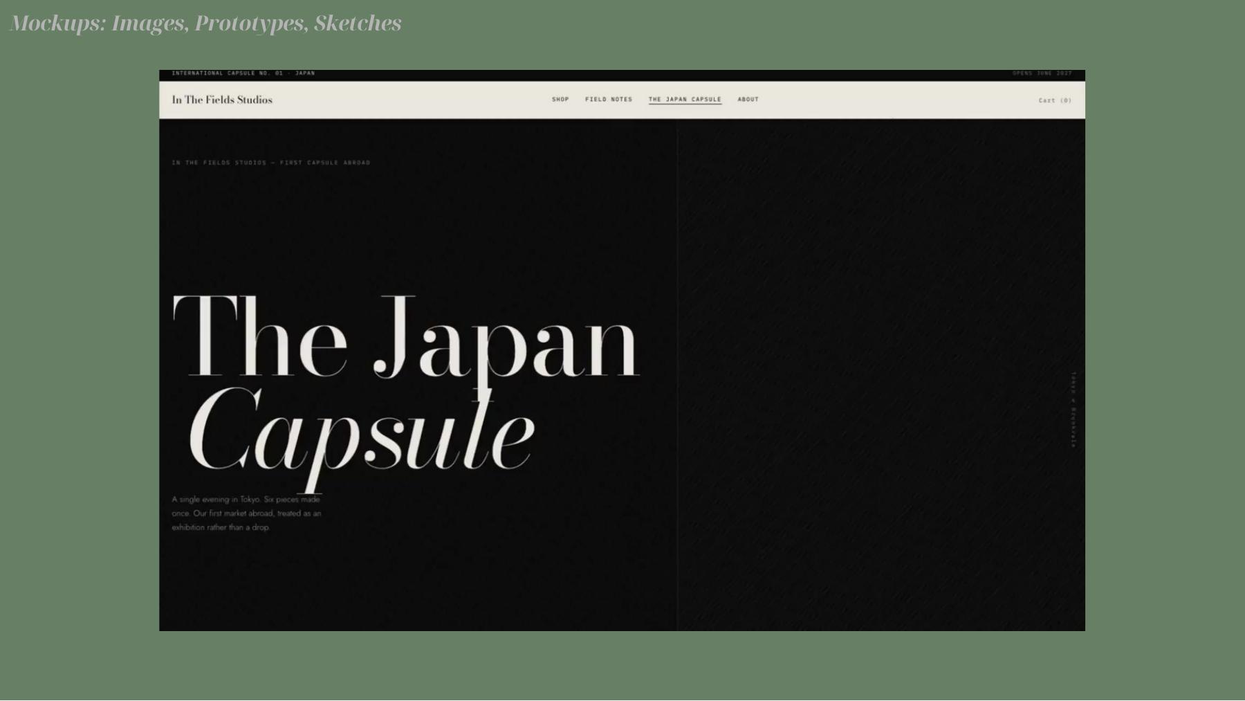 In The Fields Studios Japan capsule website mock-up